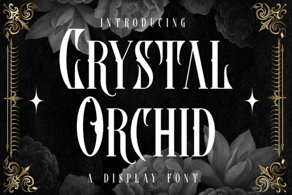 Crystal Orchid: A Chic Blackletter Font for Bold Campaigns