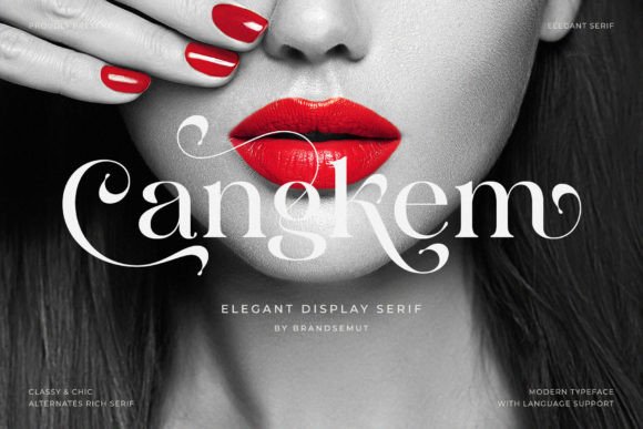 Discovering Cangkem: A Modern Display Serif for Elegant Design